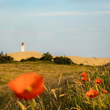 Le phare de Rubjerg Knude derrière les coquelicots sur Andrea Gaitanides - Fotografie mit Leidenschaft