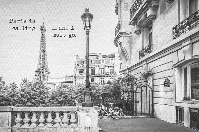 Paris is calling by Melanie Viola