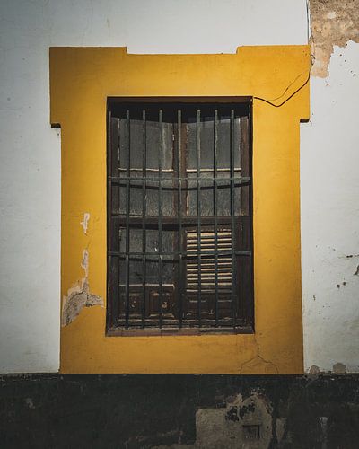 Old Windows