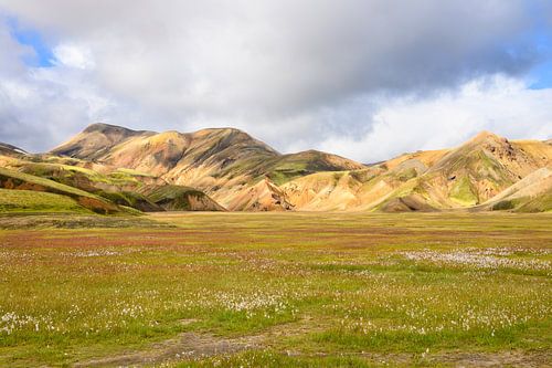Landmannalaugar