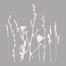 Moderne Botanische Kunst. Blumen, Pflanzen, Kräuter und Gräser in Grau und Weiß Nr. 5 von Dina Dankers Miniaturansicht