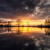 Kleurrijke Reflectie op de Elshoutse Wiel van Zwoele Plaatjes