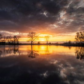Kleurrijke Reflectie op de Elshoutse Wiel van Zwoele Plaatjes