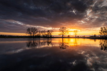 Colourful Reflection on the Elshoutse Wiel