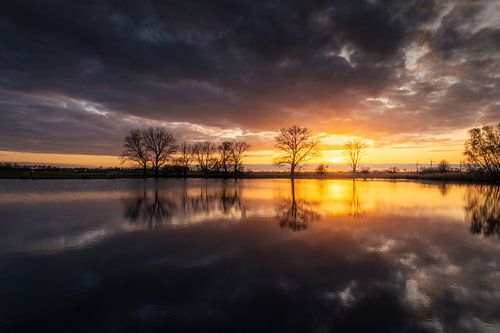 Kleurrijke Reflectie op de Elshoutse Wiel van Zwoele Plaatjes