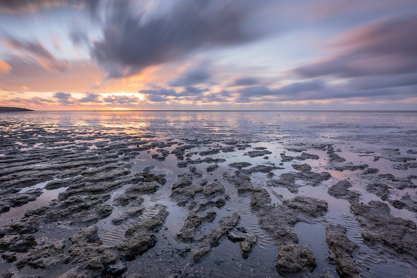 Het Wad van Carla Matthee