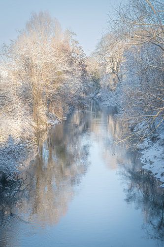 Winter bij de rivier