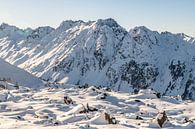 Iscghl 2019 - Wintersporturlaub von Youp Lotgerink Miniaturansicht