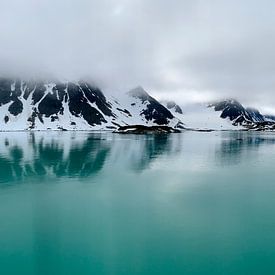 Arctic by Wildpix imagery