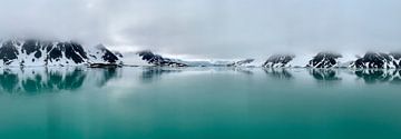 Arctic van Wildpix imagery