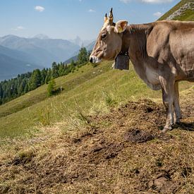 Schweizer Kuh in den Alpen von Davos von Leo Schindzielorz