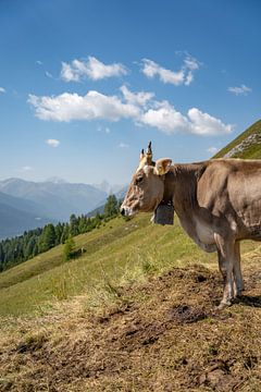 Vache suisse dans les Alpes de Davos sur Leo Schindzielorz
