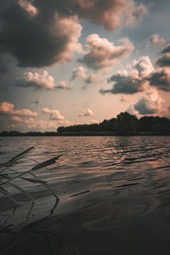 Een zomeravond aan de oever van Geert Van Baelen