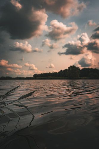Une soirée d'été sur le rivage