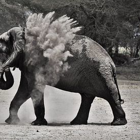 Elephant throws sand  by Esther van der Linden