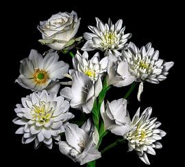 All White by Fred Teepe