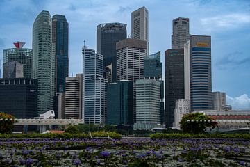 De skyline van het financiële district van Singapore van David Esser