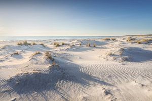 Weißer Strand und Dünen. Vada, Toskana