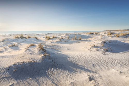 Wit strand en duinen. Vada, Toscane