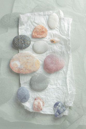 Stilleben 'Gesucht, gefunden und behalten'