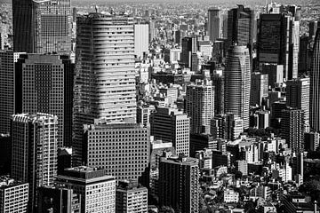 Architectuur - Tokyo Skyline van Götz Gringmuth-Dallmer Photography