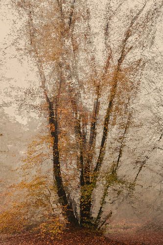 Duno landgoed part 31