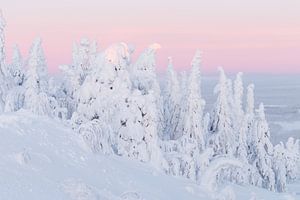 Sonnenaufgang in einer Winterlandschaft