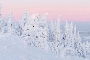 Zonsopkomst in een winters landschap von Menno Schaefer