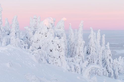 Sonnenaufgang in einer Winterlandschaft