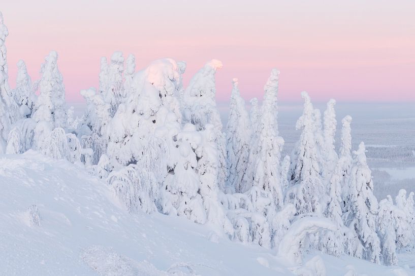 Sonnenaufgang in einer Winterlandschaft von Menno Schaefer