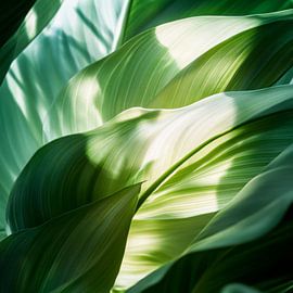 Green leaves play of light by Poster Art Shop