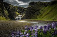 Stjórnarfoss by Edwin van Wijk thumbnail