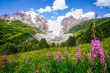 Blick auf die Georgischen Gletscher und Berge von Leo Schindzielorz