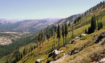 Yosemite Slope