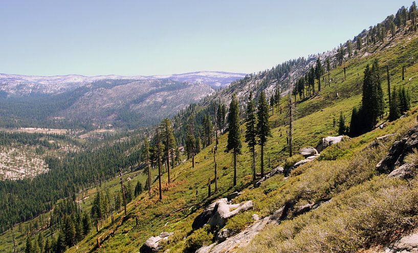 Yosemite Slope van Michiel Heuveling
