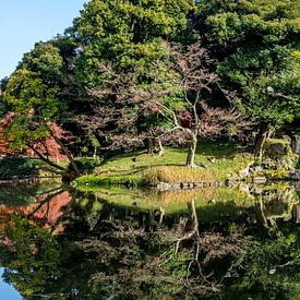 Reflective landscape by Joost Potma