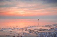 Sonnenuntergang am Ijsselmeer von Bert Nijholt Miniaturansicht