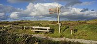 Texel - Nationaal Park Duinen van Texel