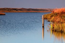 Duinmeer by Maurice Hertog