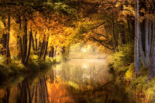 Don't Dream It's Over