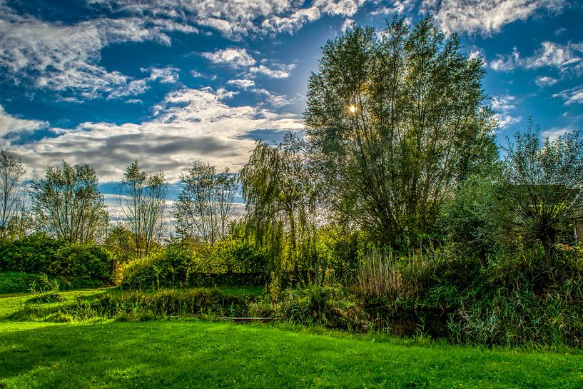 Witte wolken, een blauwe lucht en groen gras van Tom de Groot