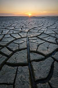 Drought on the mudflats by Rick Goede
