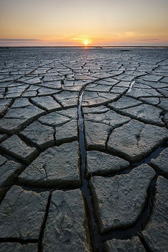 Drought on the mudflats