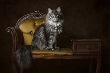 Portrait d'art vintage du chat Maine Coon sur Nikki IJsendoorn