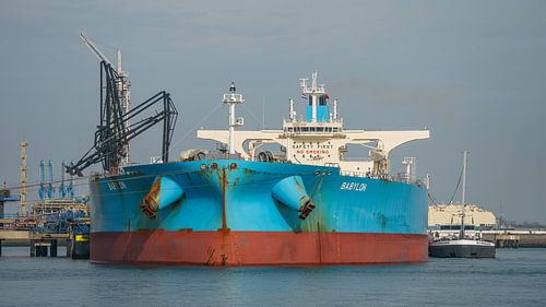 Super olietanker Babylon in de haven van Rotterdam.