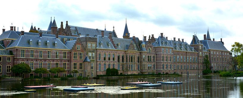 Hofvijver The Hague by Erwin Reinders
