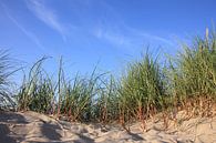 Dunes by Ostsee Bilder thumbnail