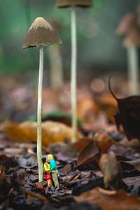 Personnes miniatures sous un champignon