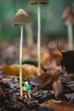Miniatures people under a mushroom