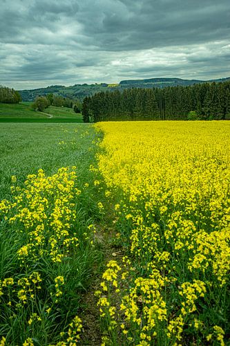 Landscape in the Erzgebirge